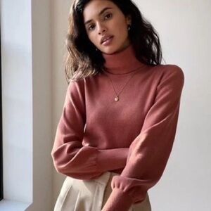 Aritzia Wilfred Cropped Turtleneck Sweater